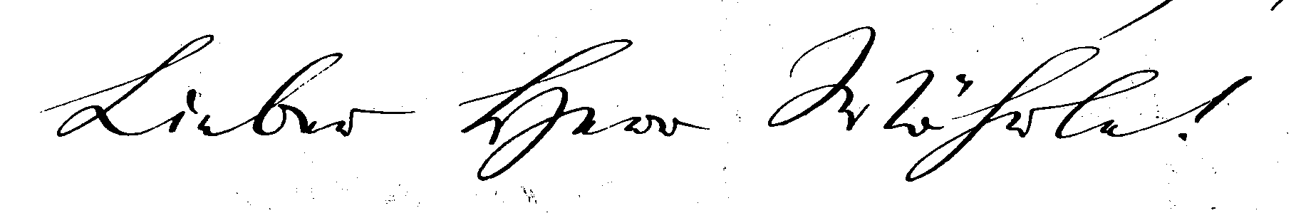 Lieber Herr Wöhrle
